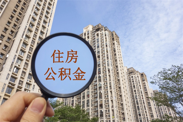 邵阳离职可以取出公积金吗（离职可以取公积金嘛）